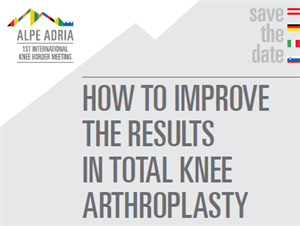 First International Knee Border Meeting